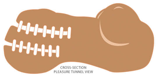 Cross-section view of the Cloud 9 Pleasure Mini Body Stroker showcasing its detailed pleasure tunnel design.