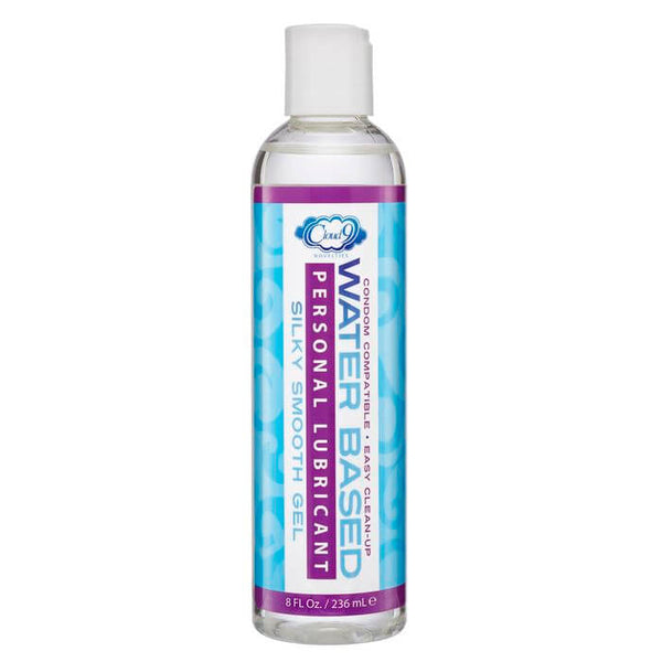 Cloud 9 Novelties Cloud 9 Novelties Paraben Free Water Based Personal Lubricant 8 Oz at $8.99