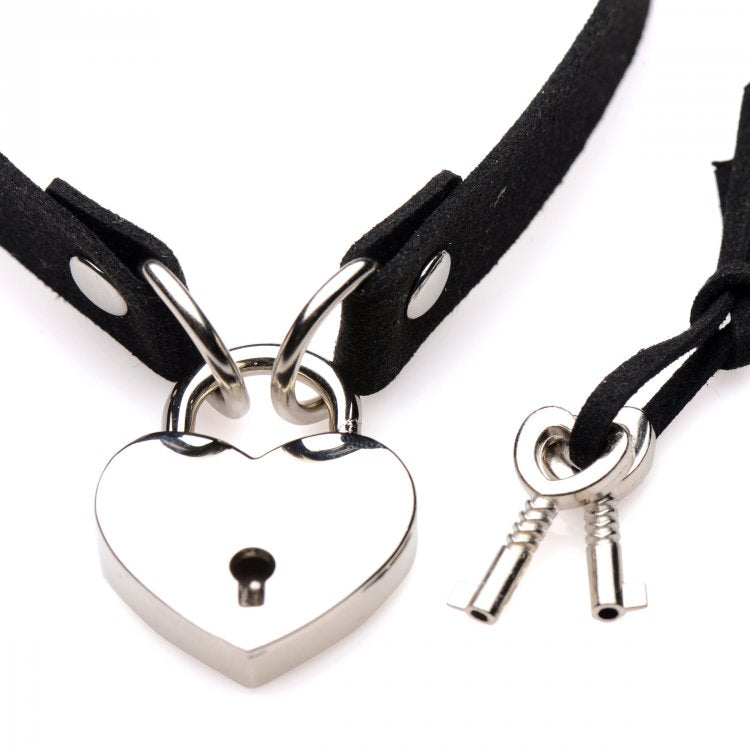 XR Brands Master Series Lock-It Heart Lock and Key Choker at $12.99
