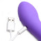 Purple silicone G-Spot vibrator with USB charging cable.