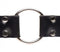 Master Series Strap and Ride Dildo Strap Harness with metal O-ring for strapon dildo from XR Brands.