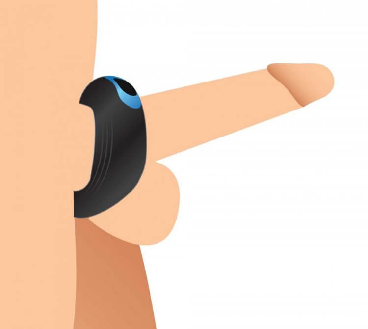 Vibrating cock ring on penis illustration, showcasing dual motor stimulation for enhanced pleasure.