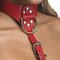 STRICT FEMALE CHEST HARNESS M/L RED-4