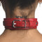 STRICT FEMALE CHEST HARNESS M/L RED-6