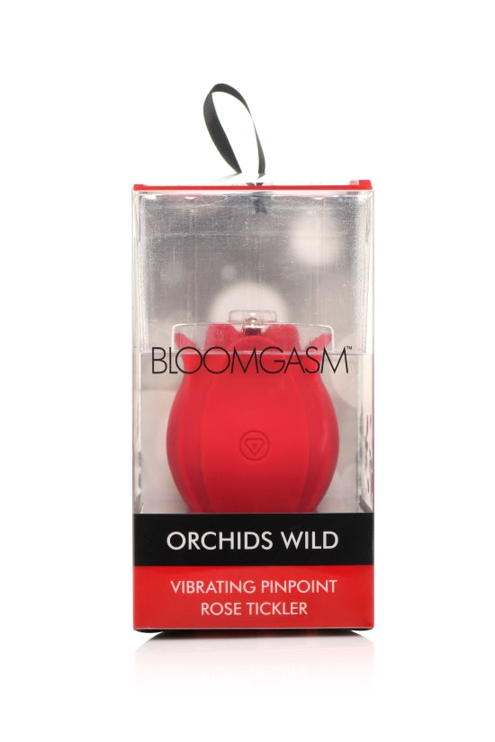 BLOOMGASM ORCHID WILD PINPOINT ROSE TICKLER-7