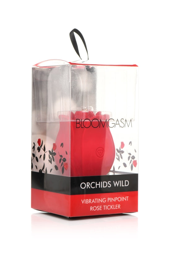 BLOOMGASM ORCHID WILD PINPOINT ROSE TICKLER-6