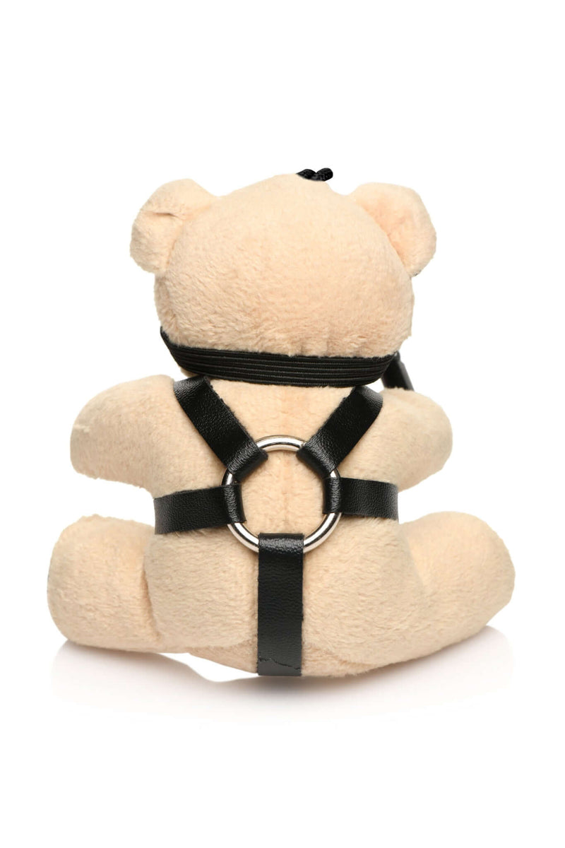MASTER SERIES BDSM TEDDY BEAR KEYCHAIN-3