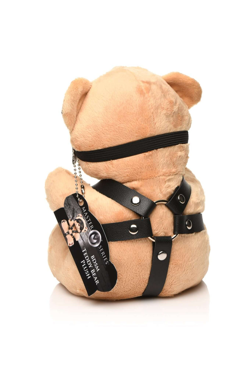 MASTER SERIES BDSM BEAR-2