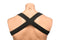 MASTER SERIES ELASTIC CHEST HARNESS W/ ARM BANDS L/XL-1