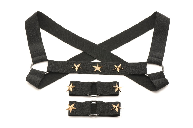 MASTER SERIES ELASTIC CHEST HARNESS W/ ARM BANDS L/XL-3