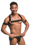 MASTER SERIES ELASTIC CHEST HARNESS W/ ARM BANDS S/M-5