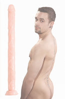 XR Brands Raging Cock Stars 18 inches Long Dong Beige Dildo at $39.99