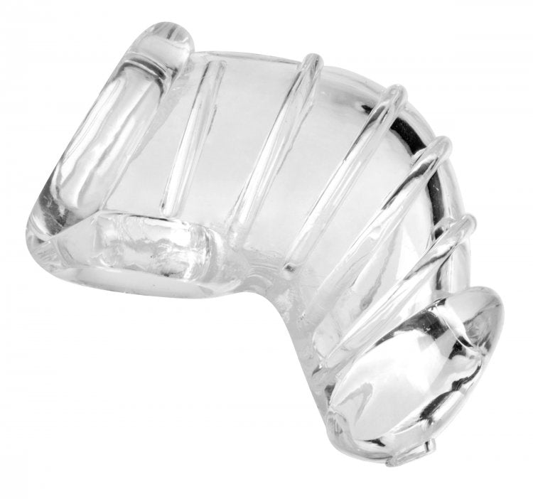 XR Brands Master Series Detained Chastity Cage at $17.99
