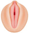 Evolved Novelties Alexis Texas Movie Down Load with Realistic Vagina Stroker at $21.99