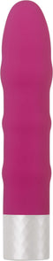Evolved Novelties Ignite Pink Vibrator at $21.99