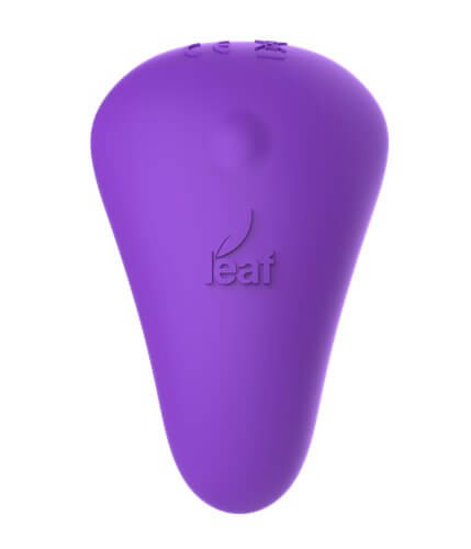 BMS Enterprises LEAF SPIRIT PLUS PANTY VIBE W/ REMOTE PURPLE at $56.99