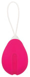 Evolved Novelties Rechargeable Egg Pink Vibrator with Remote Control at $39.99
