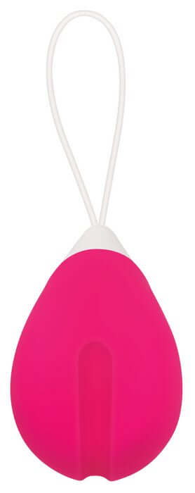 Evolved Novelties Rechargeable Egg Pink Vibrator with Remote Control at $39.99